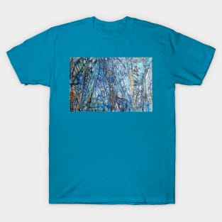 Natures Wonder T-Shirt